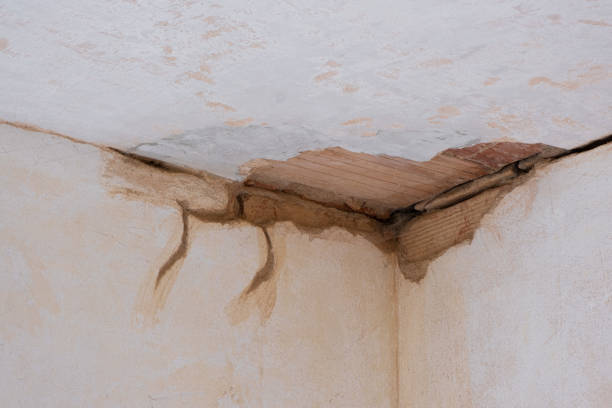 Best Basement water damage restoration  in Elkhart, KS