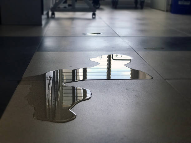 Best Water damage cleanup near me  in Elkhart, KS