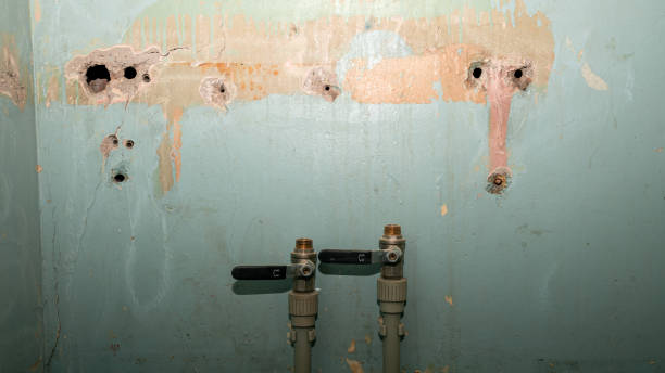 Best Flooded house restoration  in Elkhart, KS