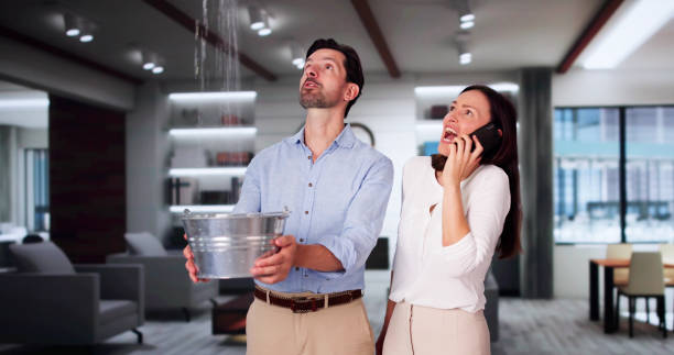 Best Water damage restoration near me  in Elkhart, KS