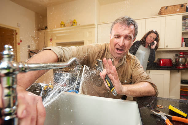 Best Mold removal after water damage  in Elkhart, KS